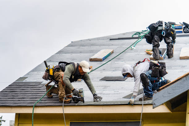 Professional Gutter Installation technician working in Bloomington Springs, TN